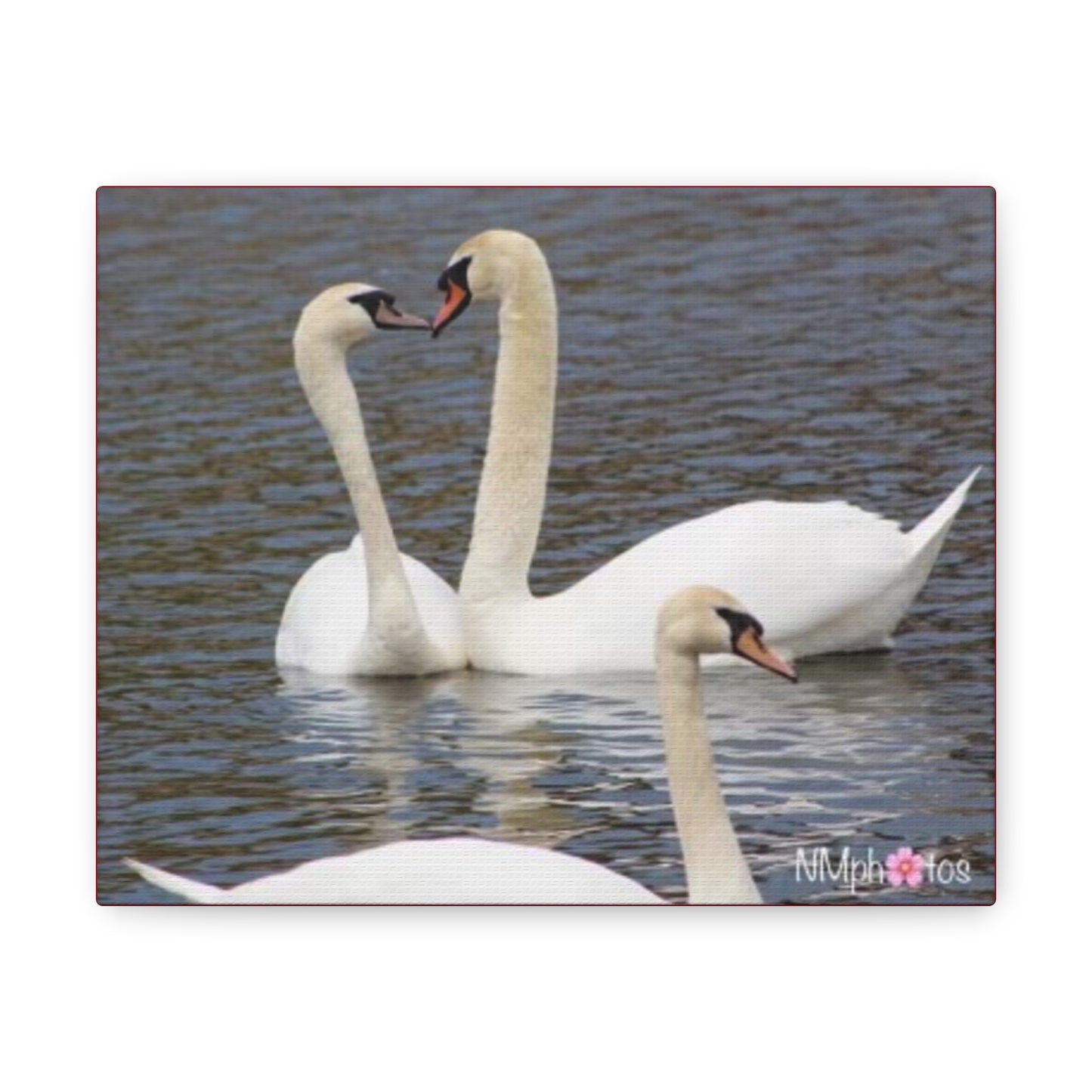 Love Birds Canvas