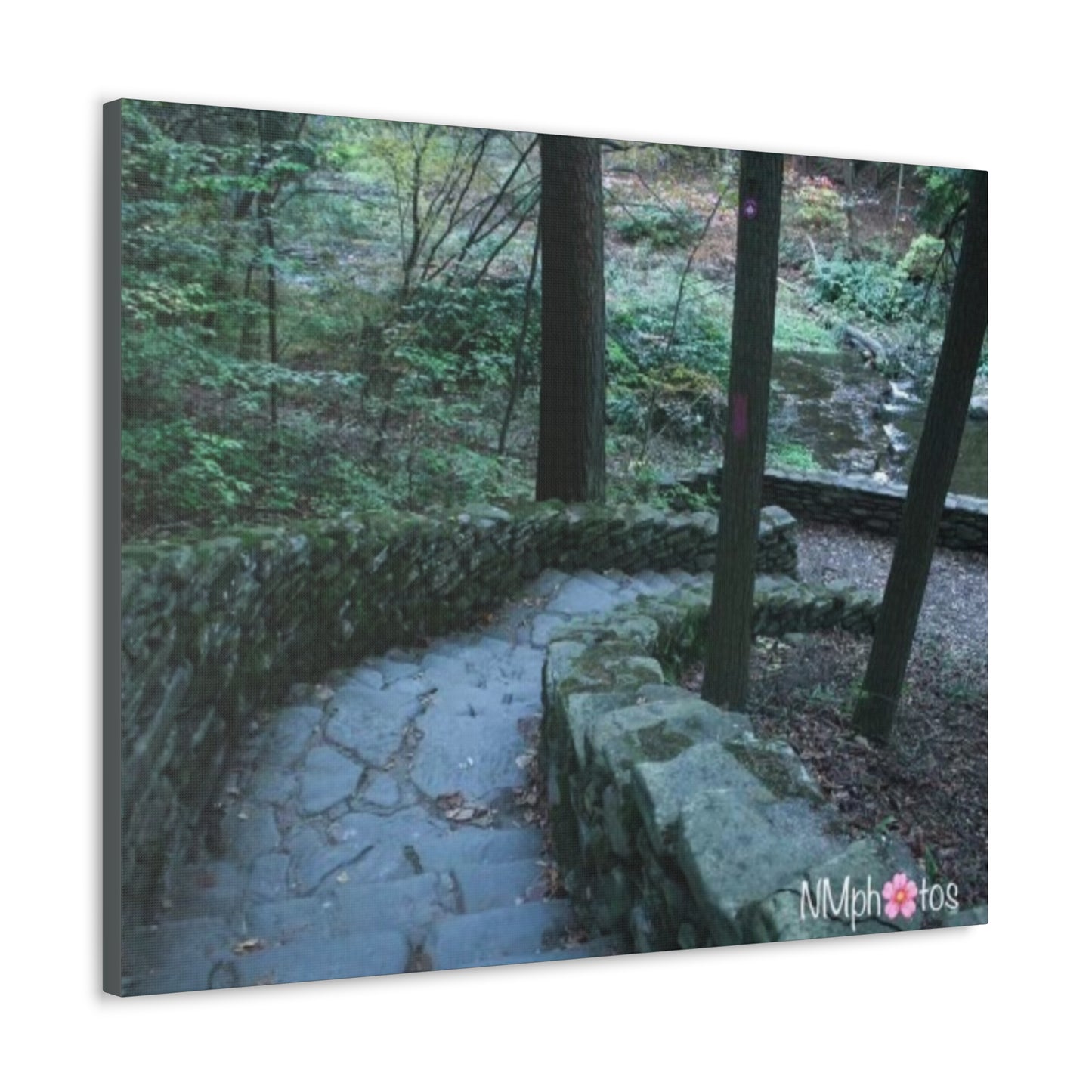 Into The Unexpected Canvas