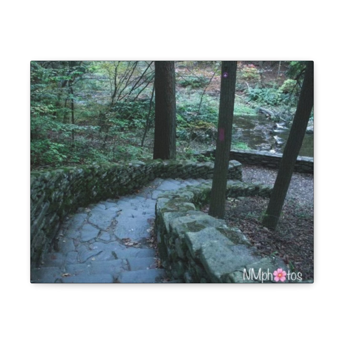 Into The Unexpected Canvas