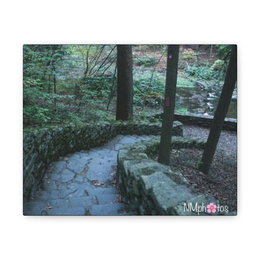 Into The Unexpected Canvas