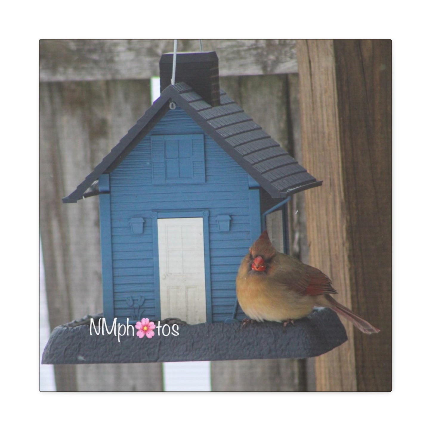 Birdhouse Canvas