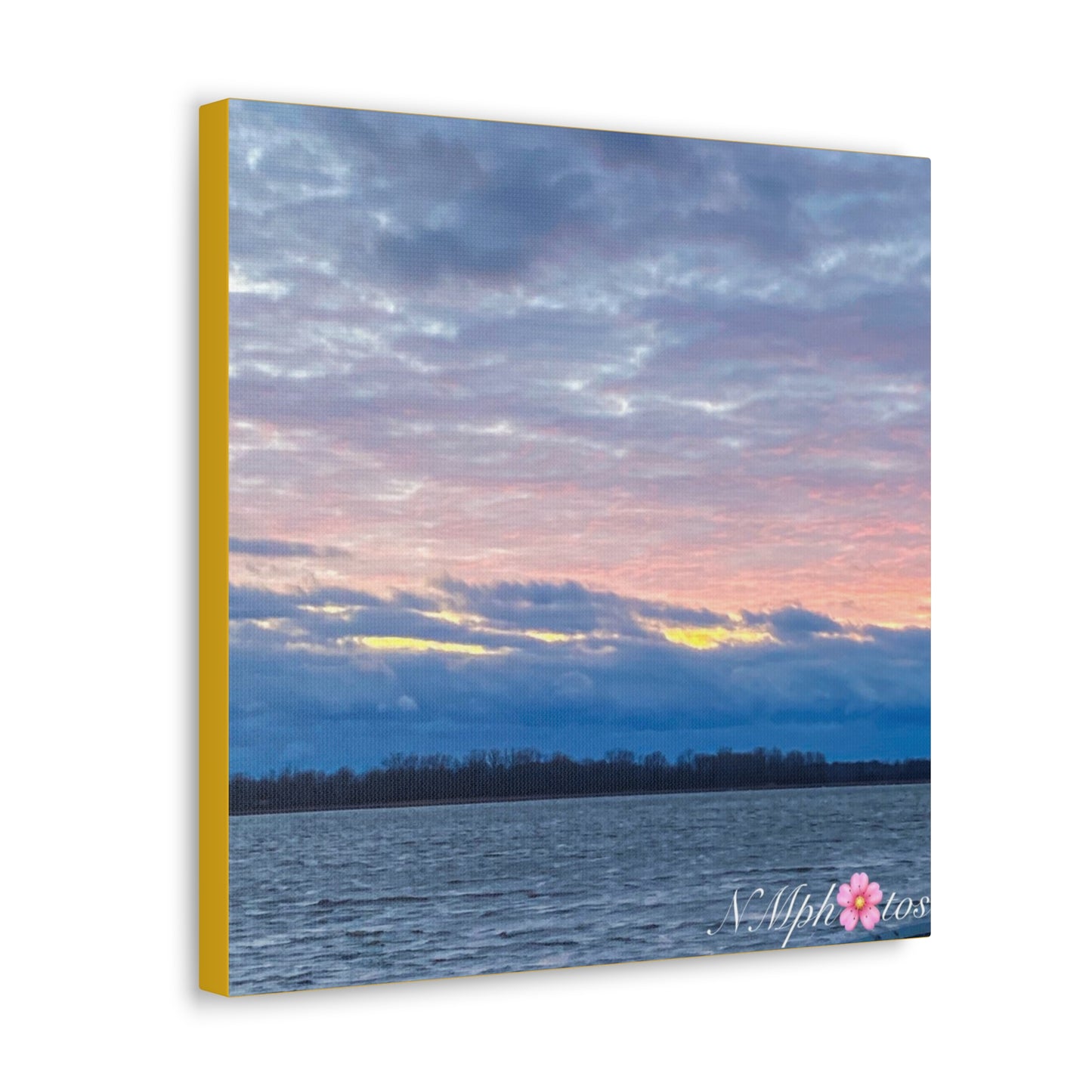 Fluffy Cotton Candy Canvas