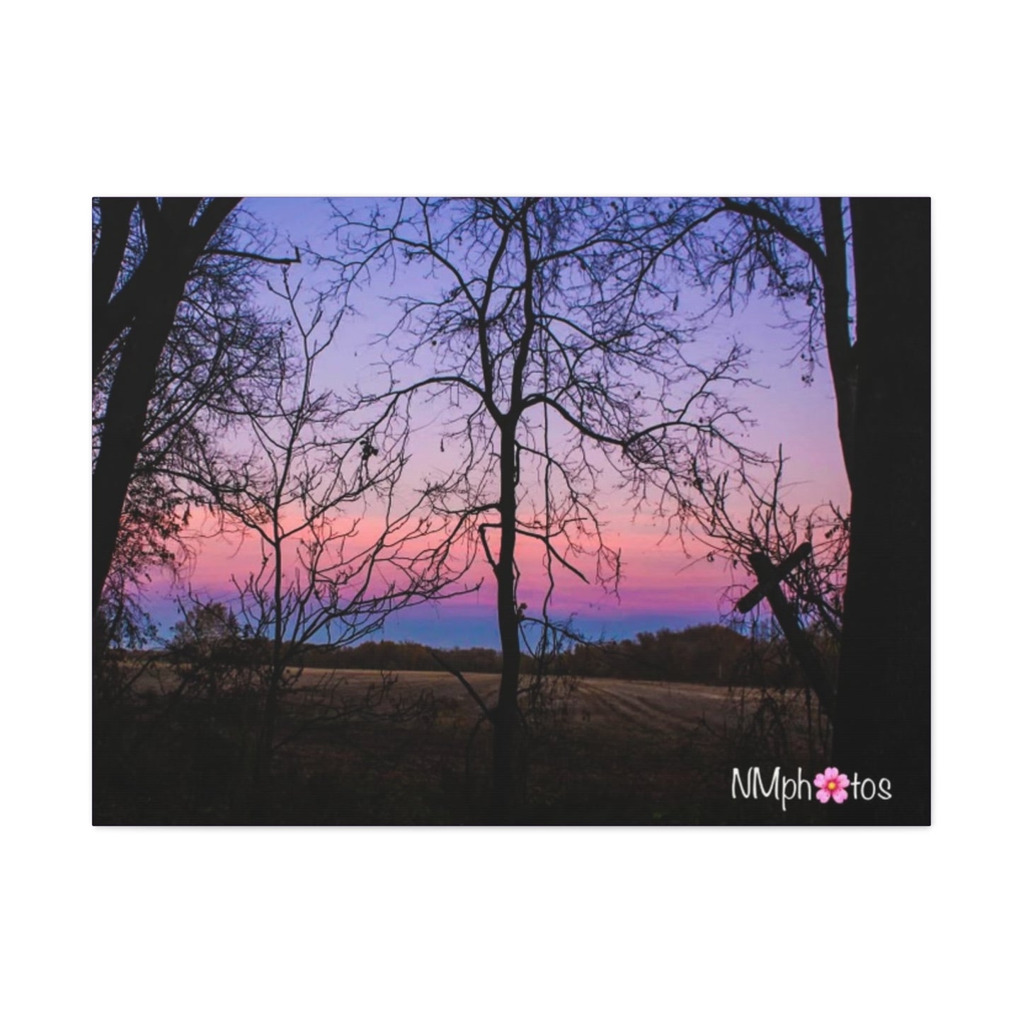 I Think I'm Dreaming Canvas