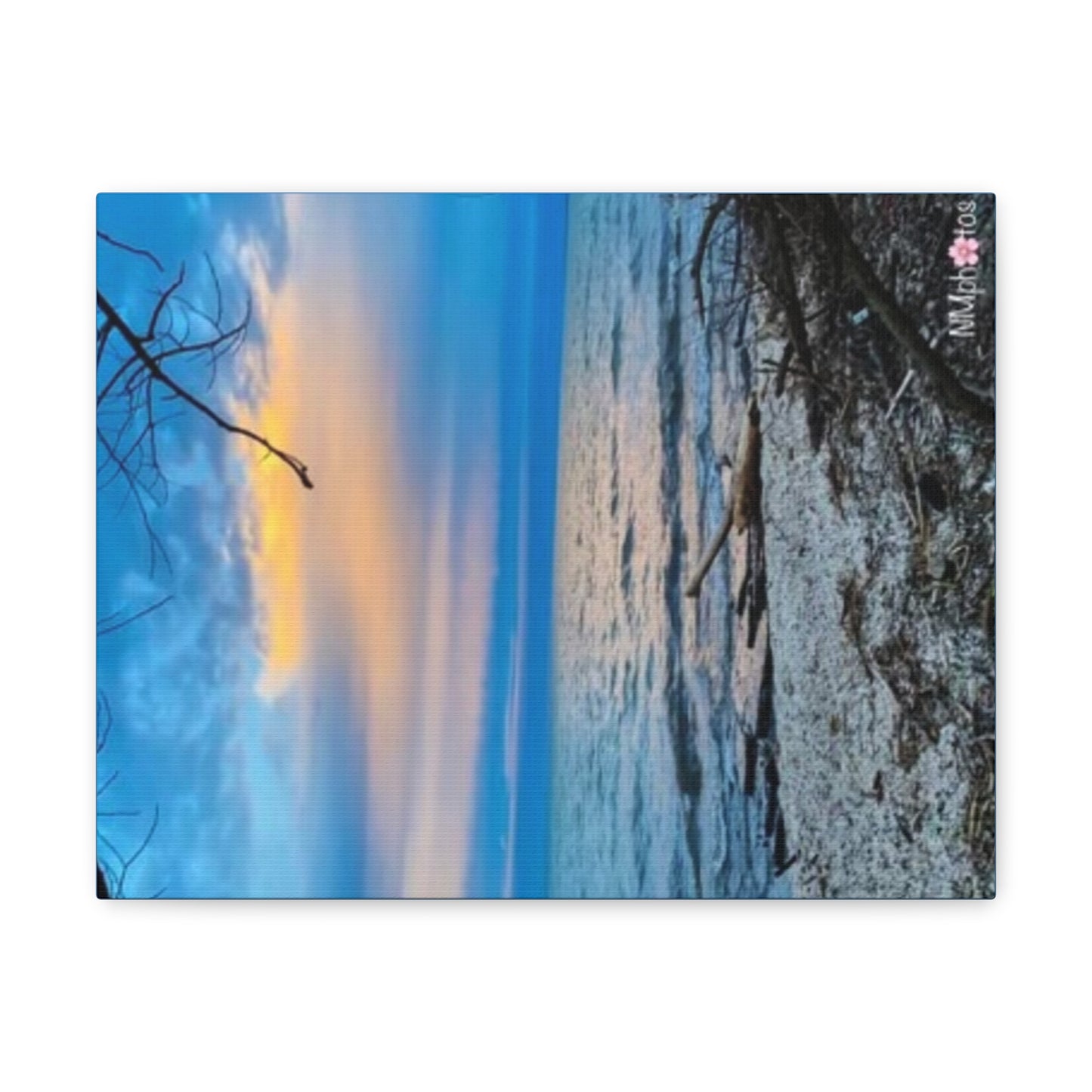 Ocean Breeze Canvas