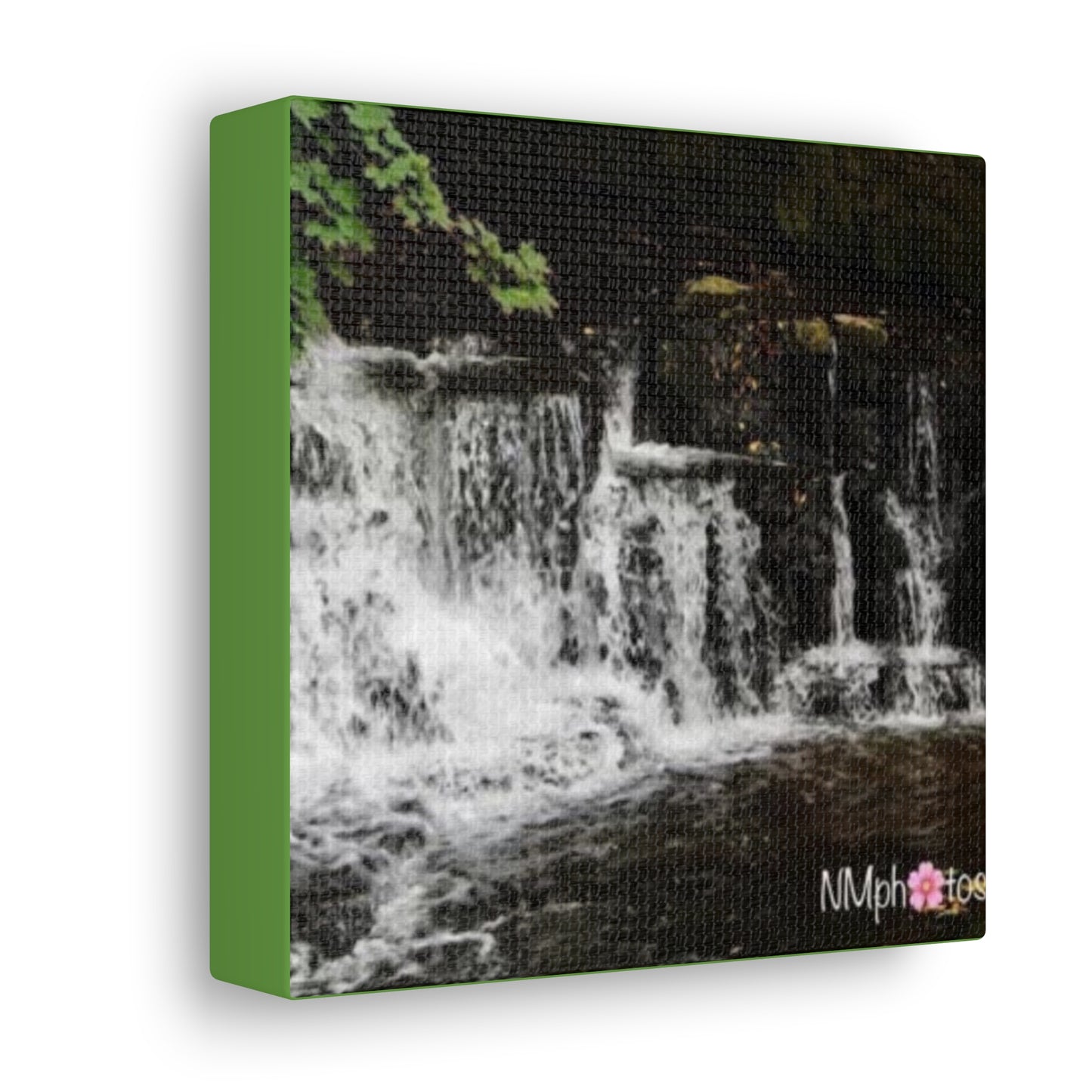 It's Like a Rainforrest Canvas