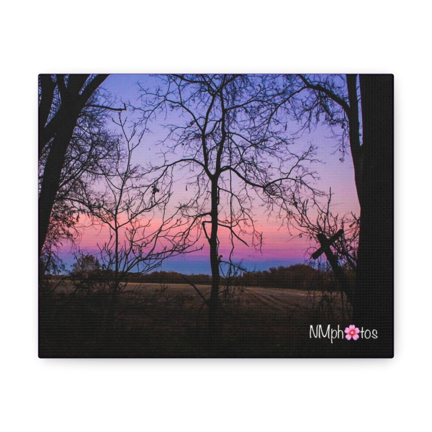 I Think I'm Dreaming Canvas