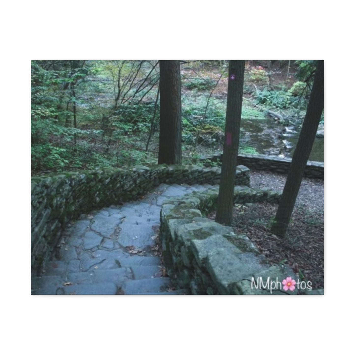 Into The Unexpected Canvas